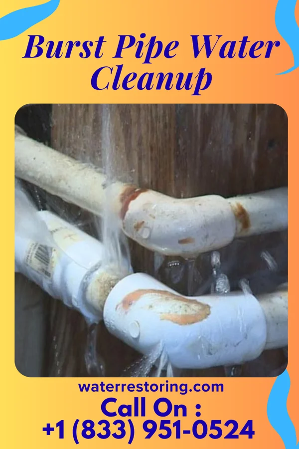 Burst Pipe Water Cleanup in Wolfhurst, OH