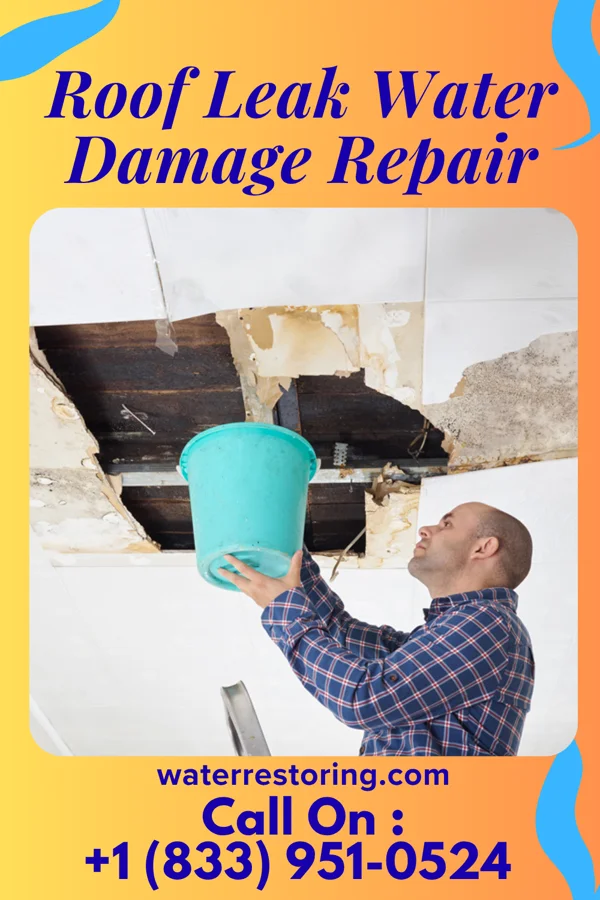 Roof Leak Water Damage Repair in Wolfhurst, OH