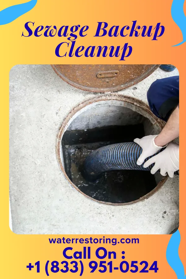 Sewage Backup Cleanup in Wolfhurst, OH