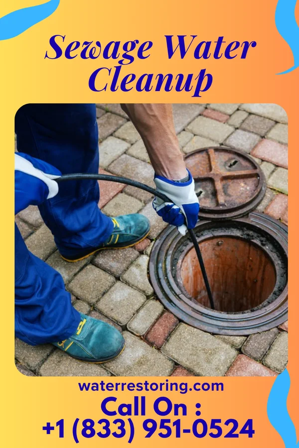 Sewage Water Cleanup in Wolfhurst, OH