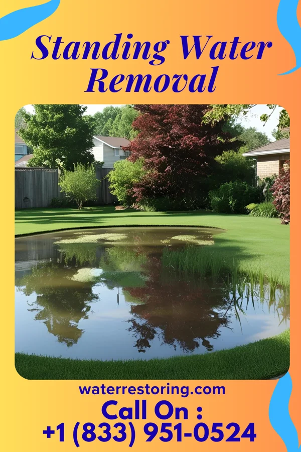 Standing Water Removal in Wolfhurst, OH
